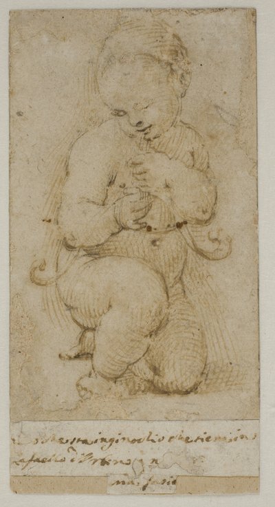 Spedbarnet døperen Johannes av after Raphael