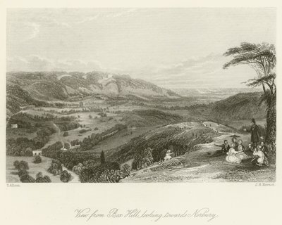 Utsikt fra Box Hill, mot Norbury av after Thomas Allom