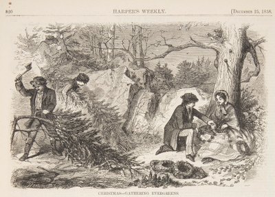 Jul – Samling av eviggrønne planter av after Winslow Homer