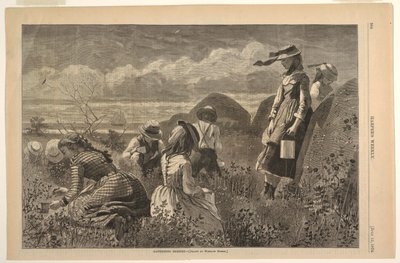 Å samle bær av after Winslow Homer