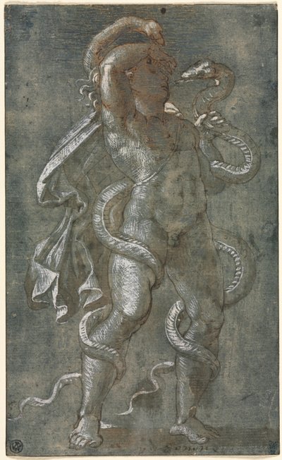 Mann sammenflettet av to slanger av attributed to Giovanni Antonio da Pordenone