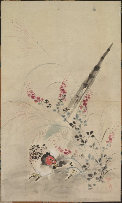 Fasan og gress av attributed to Ogata Kōrin