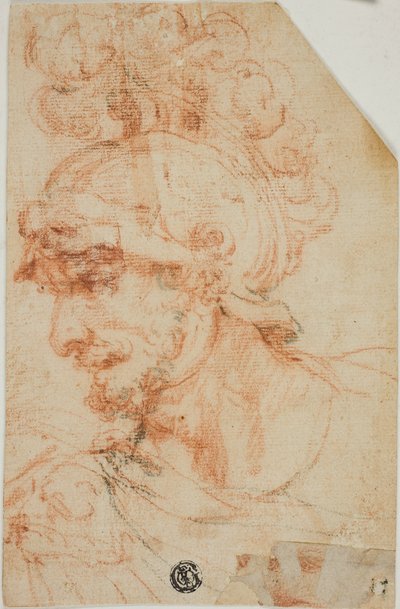  av called Cavaliere d