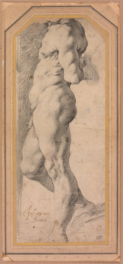  av called Cavaliere d