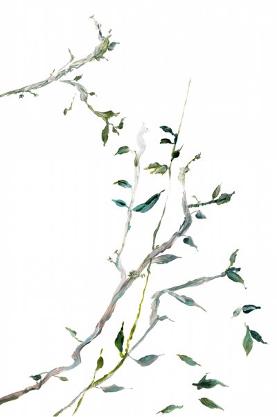  av cartissi