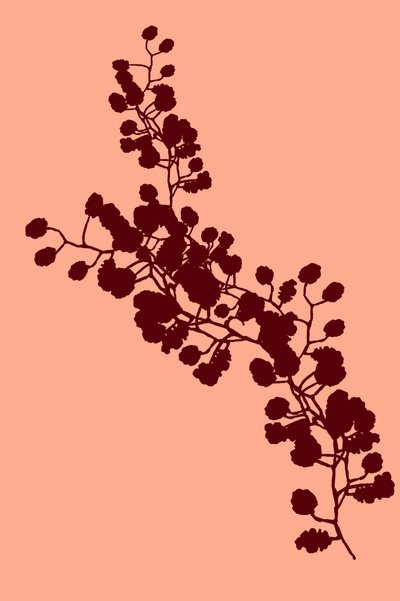 Elegant blomstersilhuett av cartissi