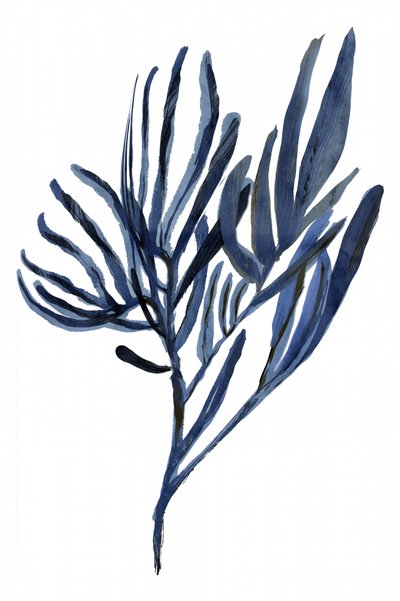 Indigo Botanical Branches av cartissi