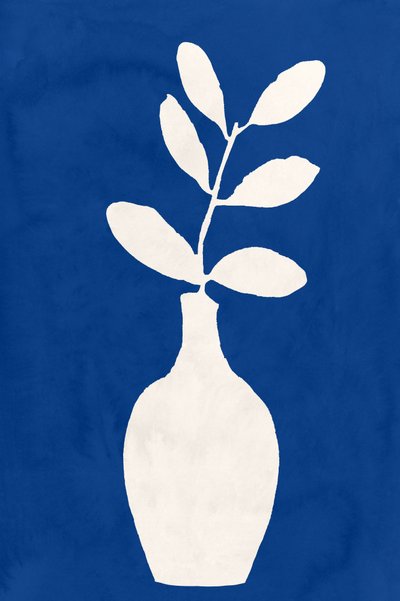 Indigo-plantevaser av cartissi