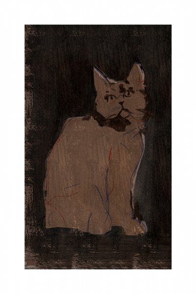 Portrett av en humørsyk katt av cartissi