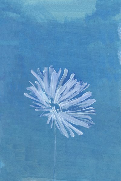 Fredfull blå blomst av cartissi
