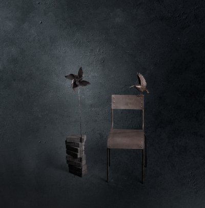 «Dark Bird» – «Empty Chair» av chenyi wang