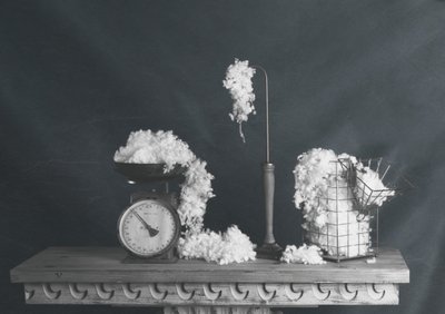 Vintage-stillbilde av bomull av chenyi wang