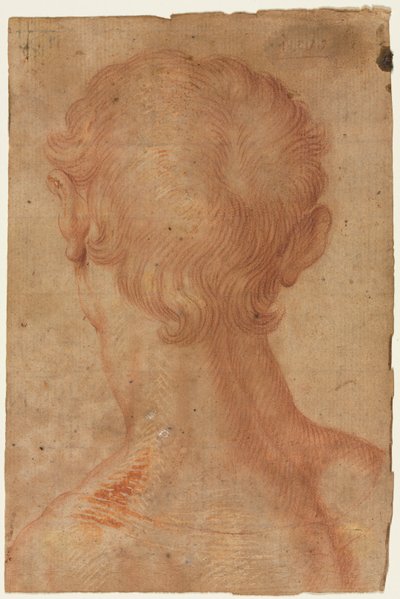 Mannens hode bakfra av copy after Agnolo Bronzino