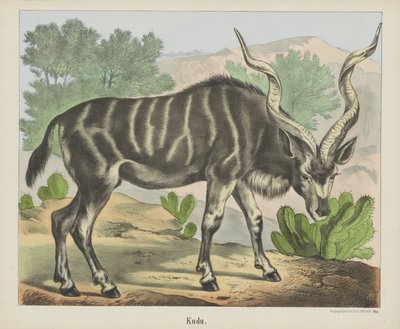 Kudu (tittel på objekt) av firma Joseph Scholz