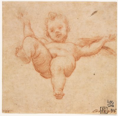 Flyvende Amor av follower of Annibale Carracci