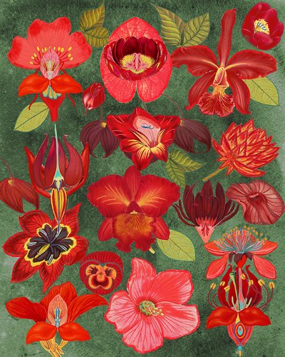  av giovanna nicolo