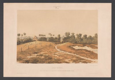 Jødisk Savannah Jødene Savannah. Utsikt over synagogen og kirkegården fra siden av den militære Cordonpad (tittel på objekt) Vestindia (serietittel på objekt) Utsikt fra Nederland