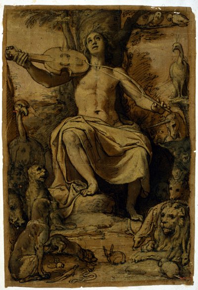 Orpheus fortryller dyrene med musikken til en fiolin. Tegning av Federico Zuccari (1542 - 1609). av or Zuccaro Federico Zuccari