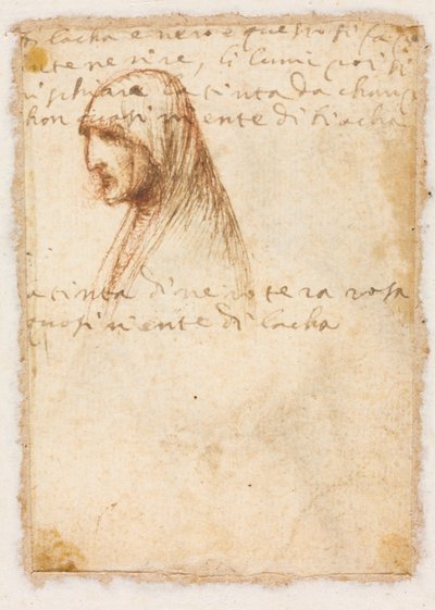 Bystelengdeprofil av en gammel kvinne (verso) av possibly by Dosso Dossi