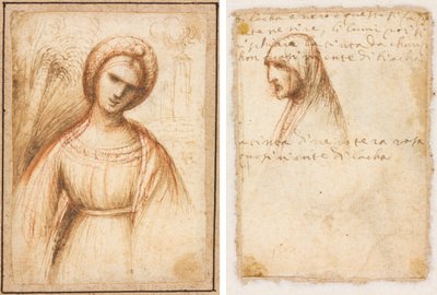 Dame i et landskap (recto); Bystelengdeprofil av en gammel kvinne (verso) av possibly by Dosso Dossi