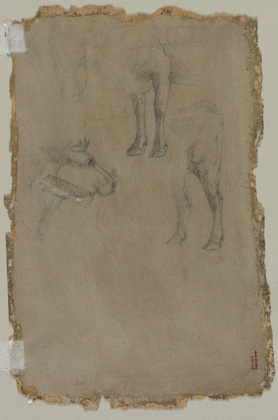 Studier av en okse (verso) av possibly by Johan Barthold Jongkind