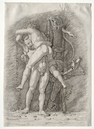 Hercules og Antaeus av school of Andrea Mantegna