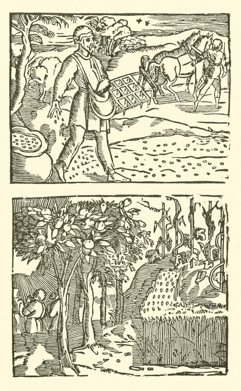 Illustrasjon for The Roxburghe Ballads (tresnitt) av (after) English School