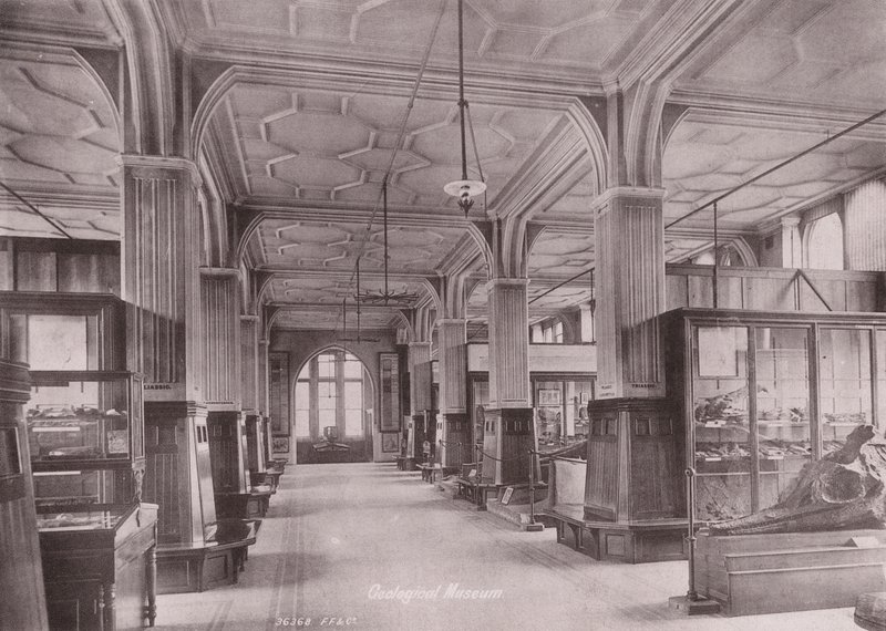 Owen#39;s College, Manchester: Geologisk museum (s/hv-bilde) av (after) English photographer