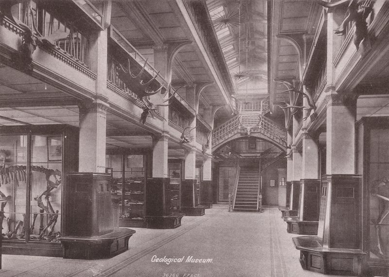 Owen#39;s College, Manchester: Geologisk museum (s/hv-bilde) av (after) English photographer