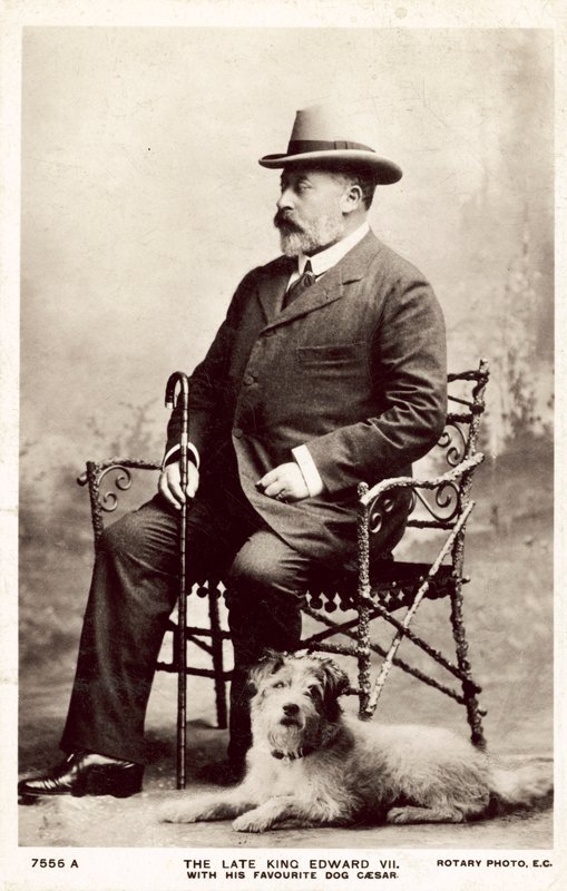 Den avdøde kong Edward VII, med denne favoritthunden Cæsar (s/hvitt-bilde) av (after) English photographer
