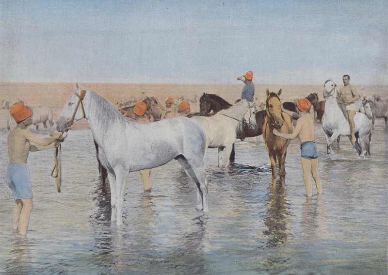 Sea Bath (farget bilde) av (after) French Photographer