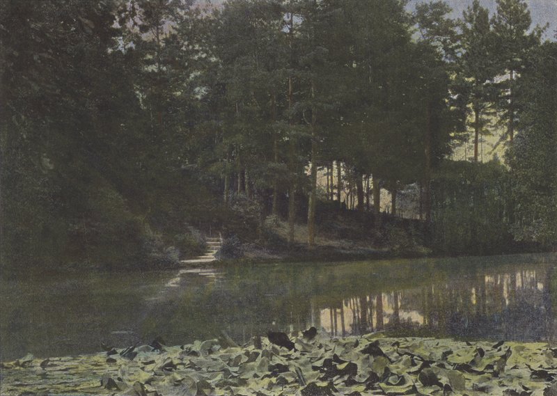 Bois de Boulogne, The Reservoir (farget bilde) av (after) French Photographer
