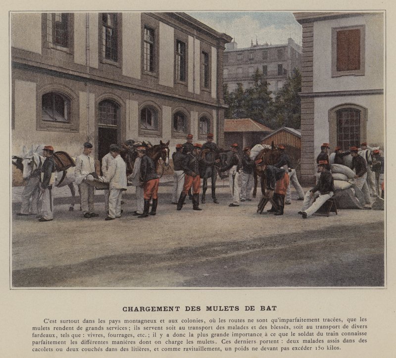 Laster flaggermus (farget bilde) av (after) French Photographer