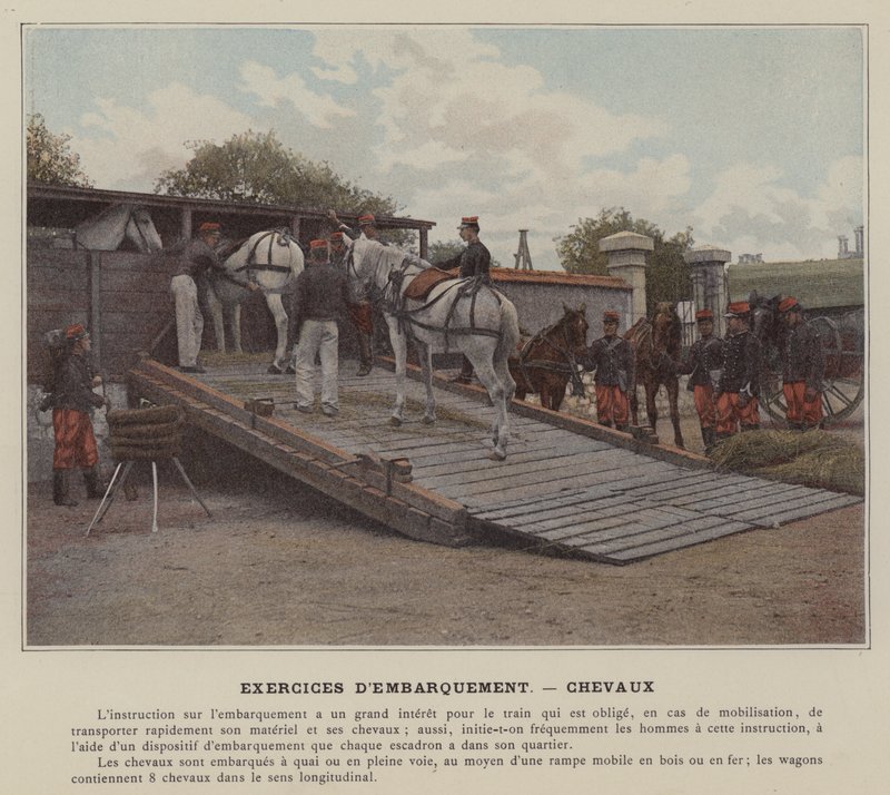 Boardingøvelser, hester (farget bilde) av (after) French Photographer