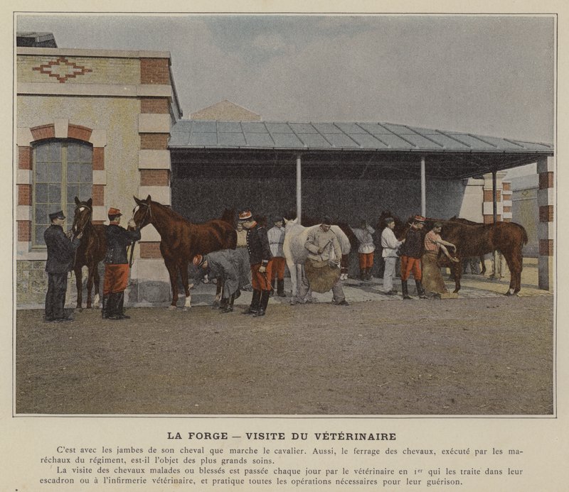 La Forge, besøk av veterinæren (farget bilde) av (after) French Photographer