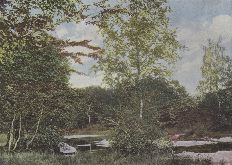 La mare aux avgifter (farget bilde) av (after) French Photographer