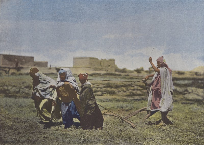 Pløying i Kabylia (farget bilde) av (after) French Photographer