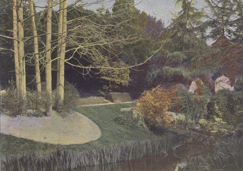 Nantes, den botaniske hagen (farget bilde) av (after) French Photographer