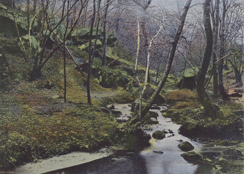 Vaux de Cernay, Les Cascades (farget bilde) av (after) French Photographer