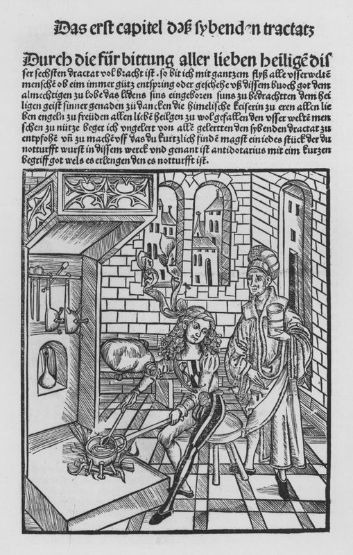 The Book of Cirurgia av Hieronymus Brunschwig (litho) av (after) German School
