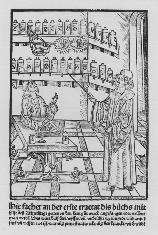 The Book of Cirurgia av Hieronymus Brunschwig (litho) av (after) German School