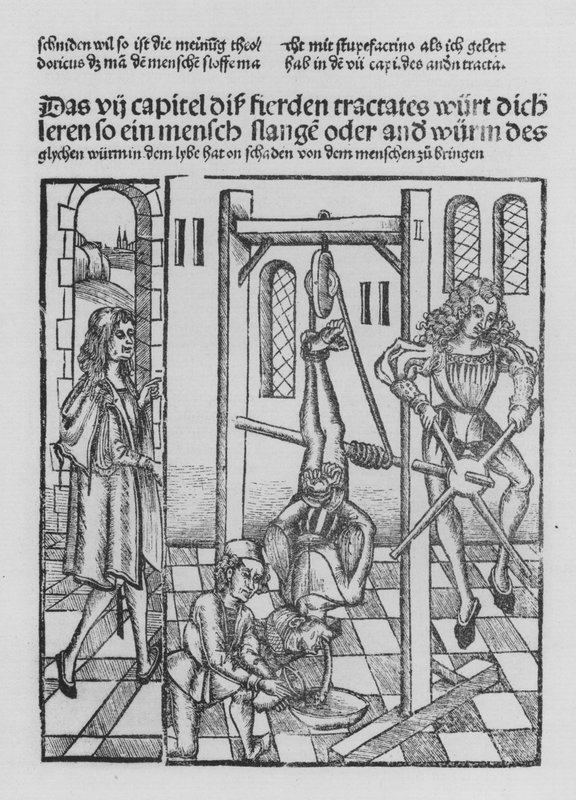 The Book of Cirurgia av Hieronymus Brunschwig (litho) av (after) German School