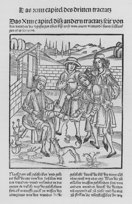 The Book of Cirurgia av Hieronymus Brunschwig (litho) av (after) German School