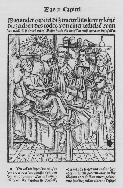 The Book of Cirurgia av Hieronymus Brunschwig (litho) av (after) German School