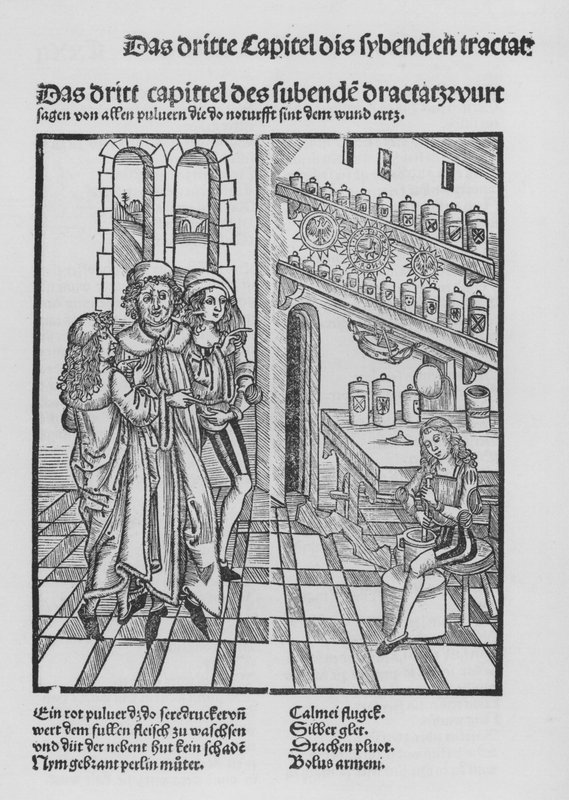 The Book of Cirurgia av Hieronymus Brunschwig (litho) av (after) German School