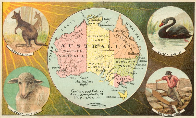 Australia av American School