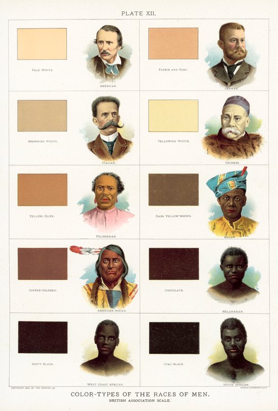 Color-Types of the Races of Men, British Association-skala av American School