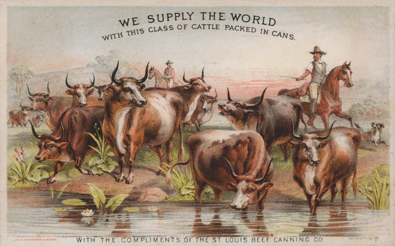 Cowboyer på storfe, reklame for St Louis Beef Canning Company av American School