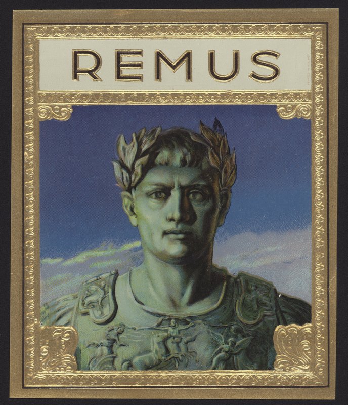 Remus av American School