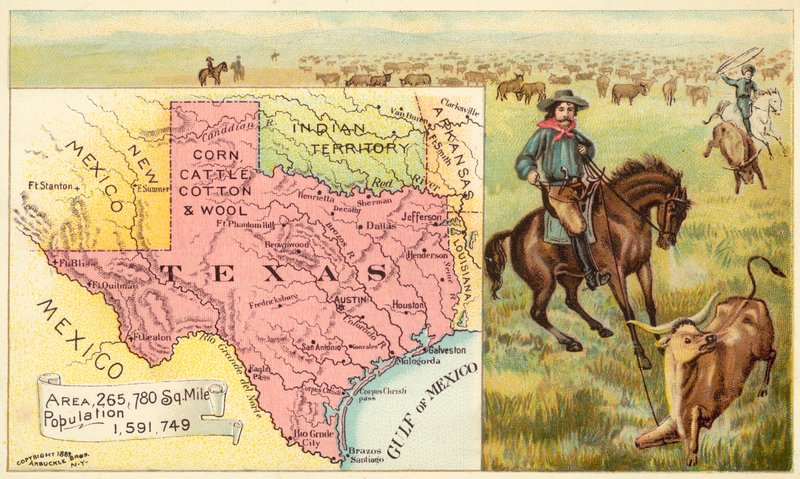 Texas, USA av American School